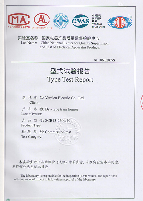 Type Tesr Report