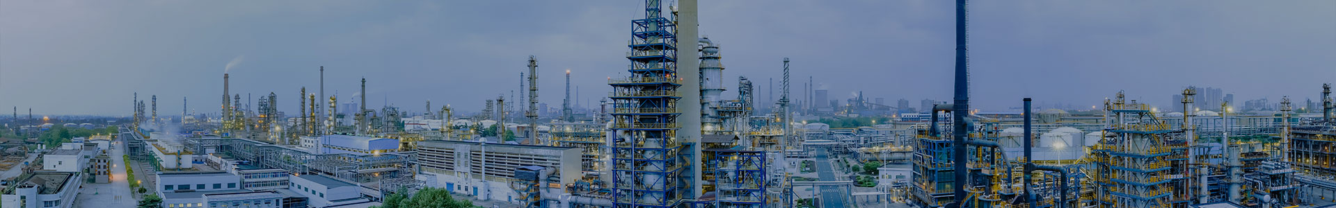 Company profile